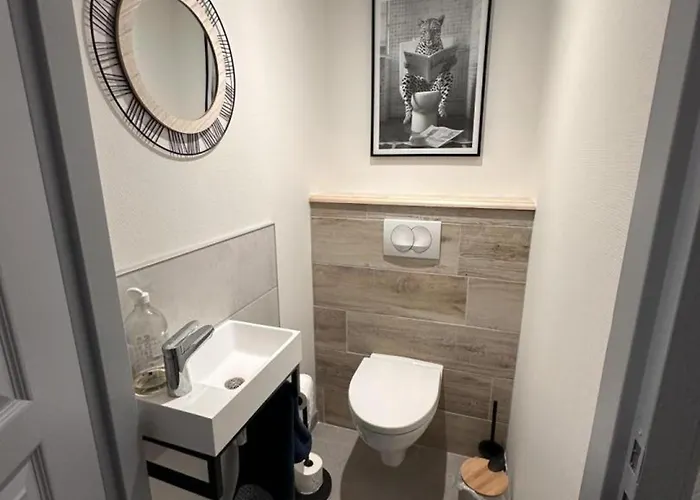 Paisible Avec Jardin Et Animaux Acceptés En Allier - Fr-1-489-618 *